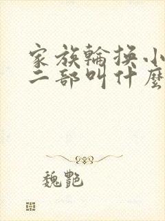 家族轮换小说第二部叫什么名字