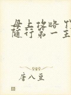 母上攻略 竹影随行第一主板