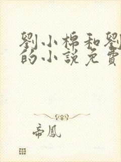刘小棉和刘易文的小说免费阅读