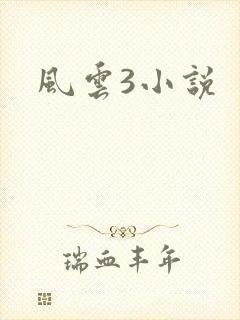 风云3小说