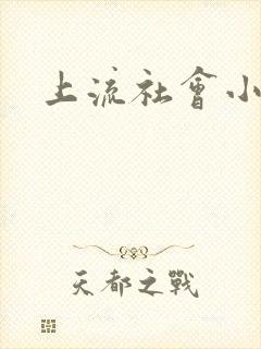 上流社会小说