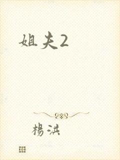 姐夫2封面