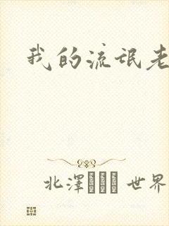 我的流氓老师