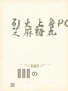 引火上身POP芝麻糖丸封面