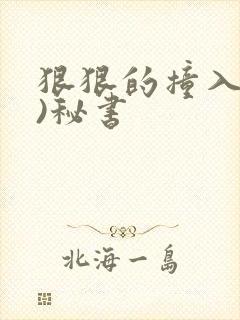 狠狠的撞入(h)秘书