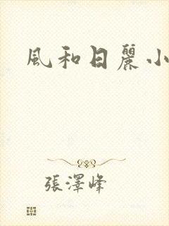风和日丽小说