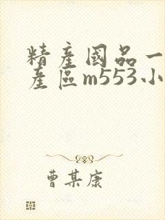 精产国品一二三产区m553小说封面