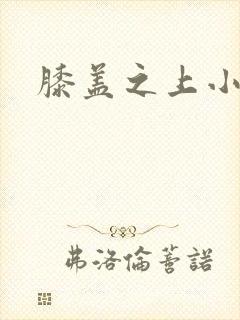 膝盖之上小说