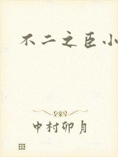 不二之臣小说封面