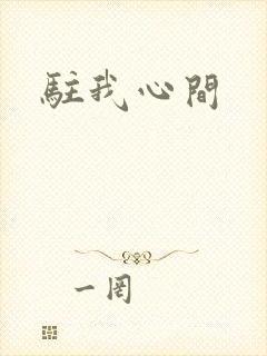 驻我心间