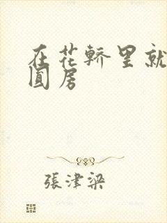 在花轿里就开始圆房