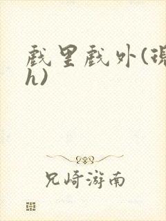 戏里戏外(现场h)