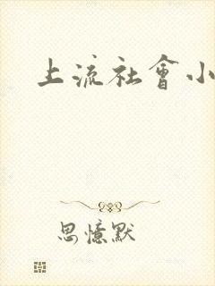 上流社会小说