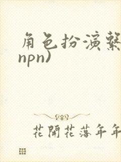 角色扮演系统(npn)