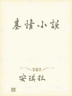 基情小说