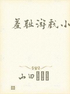 羞耻游戏小说