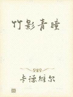 竹影青瞳封面