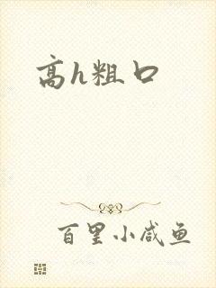 高h粗口