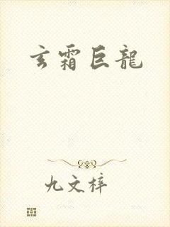 玄霜巨龙封面