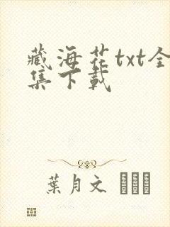 藏海花txt全集下载