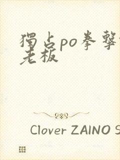 独占po拳击馆老板