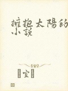 拥抱太阳的月亮小说