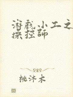 游戏小工之元素操控师封面