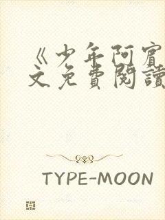 《少年阿宾》全文免费阅读