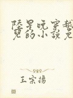 陆星晚穿越成婴儿的小说免费阅读全文封面