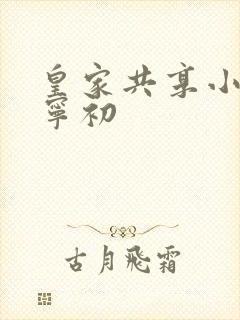 皇家共享小公主宁初