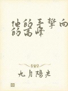 他的手攀向了我的高峰封面