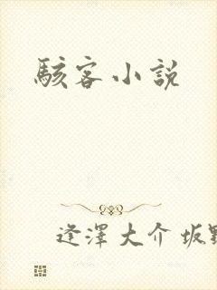 骇客小说