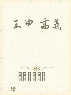 王申 高义封面