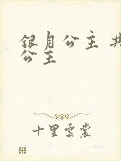 银月公主 共享公主