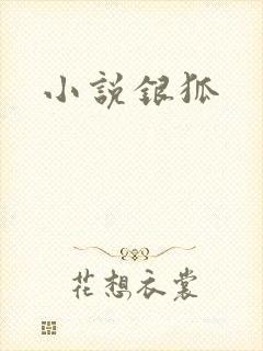 小说银狐