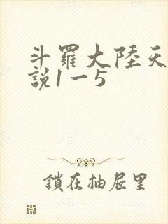 斗罗大陆天狂传说1一5