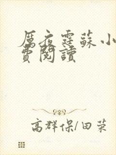 厉夜霆苏小汐免费阅读