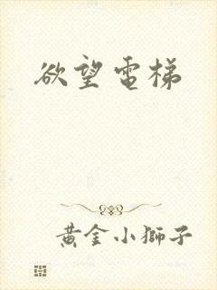 欲望电梯