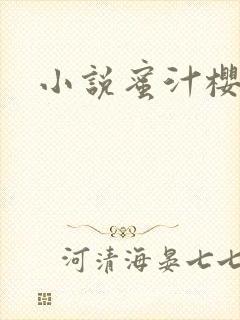 小说蜜汁樱桃