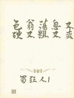 色翁荡息又大又硬又粗又爽