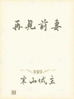 再见前妻