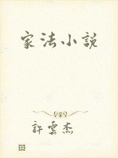 家法小说