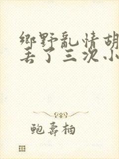 乡野乱情胡秀英丢了三次小说封面