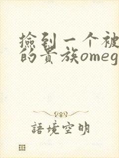 捡到一个被抹布的贵族omega