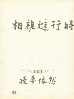 相亲进行时