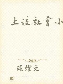 上流社会小说