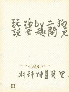 玩物by二狗小说笔趣阁免费阅读