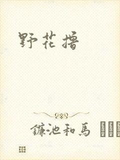 野花撸封面