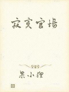 寂寞官场