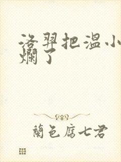 洛羿把温小辉做烂了